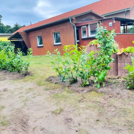 Frohes Wochenende 27 Villa Boltenhagen  Ngoại thất bức ảnh